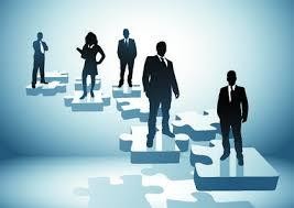 Experienced Team